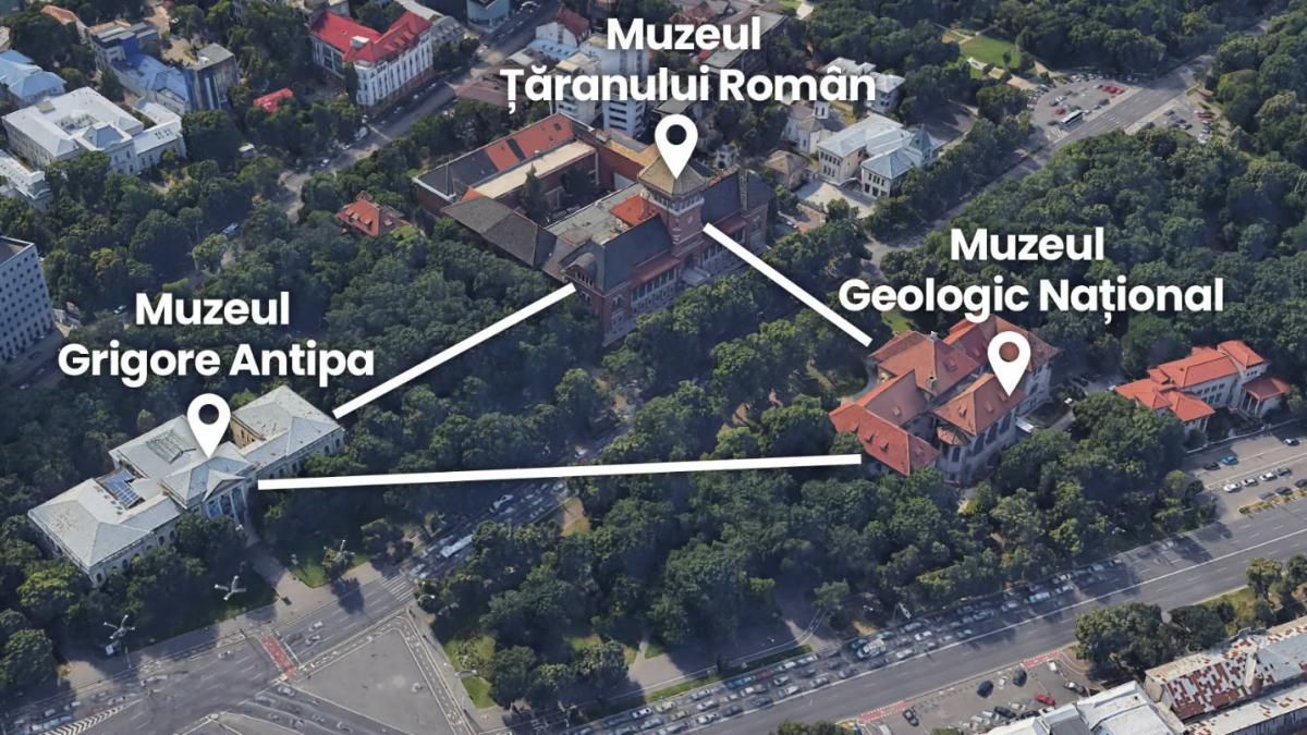 triunghiul