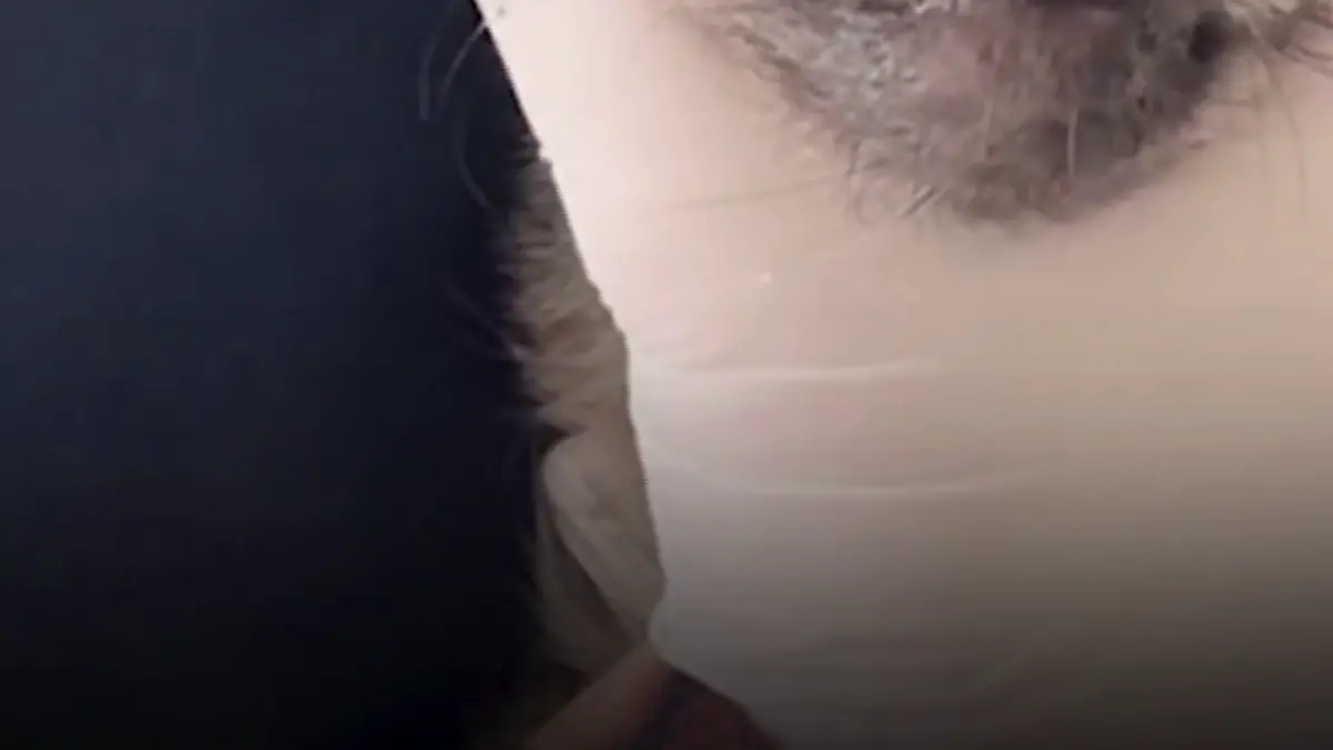 doi pui de vulpe orfani s au intors in salbaticie dupa cinci luni de recuperare