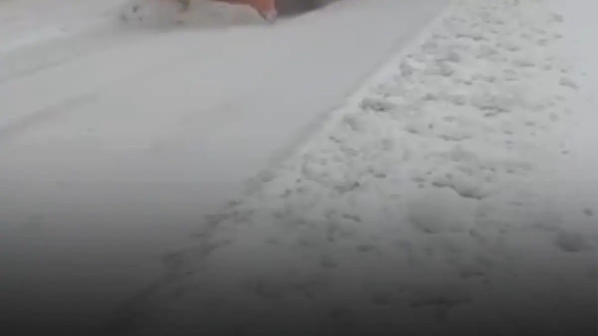 ninsoare abundenta pe transfagarasan s a intervenit cu doua utilaje si peste 5 tone de sare pentru deszapezire