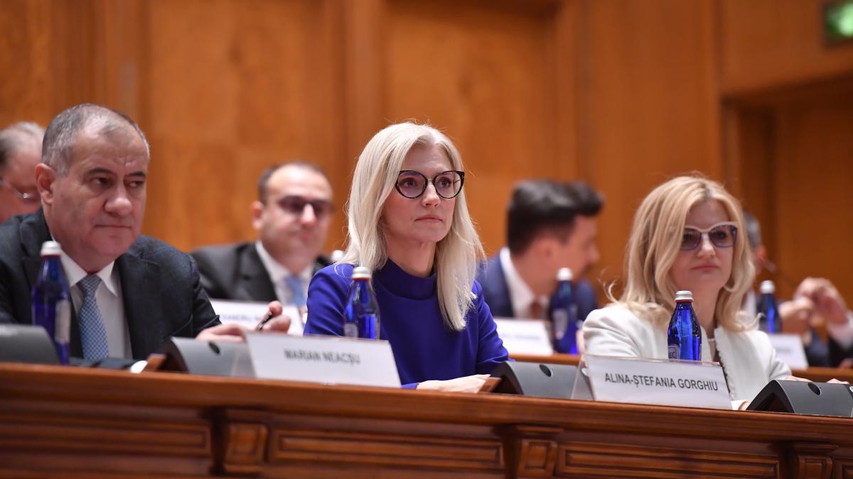 alina gorghiu 