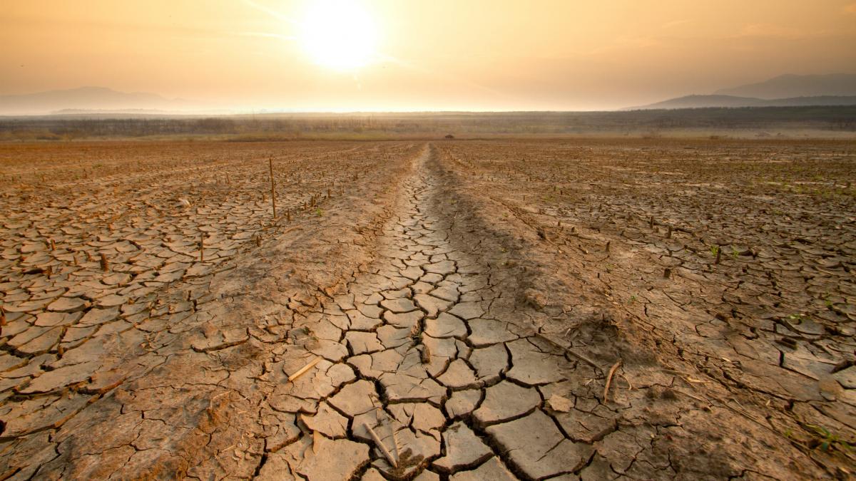 ce e super el nino si cum va afecta vremea 2027 ar putea fi cel mai cald an din istorie iar inundatiile si secetele vor face prapad