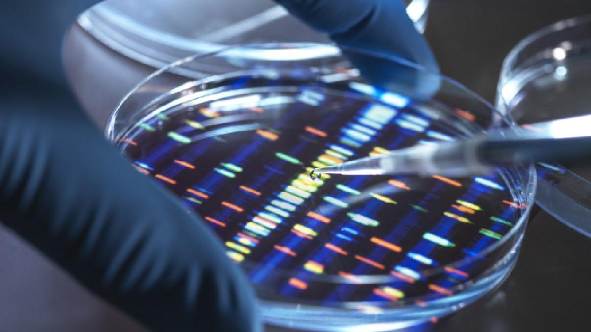 cercetator care transfera material genetic