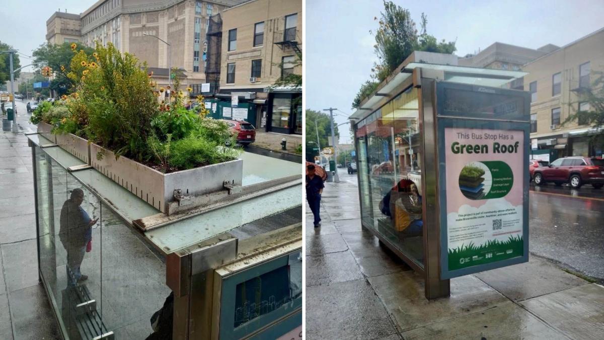 primul acoperis verde cu flori montat pe o statie de autobuz mamdani vrea sa racoreasca new york ul printr un experiment unic