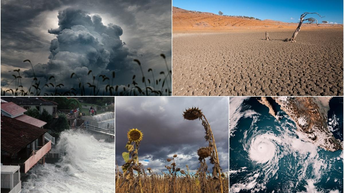 el nino godzilla va fi cel mai puternic fenomen vazut si simtit de oameni cum ne putem pregati pentru inevitabil