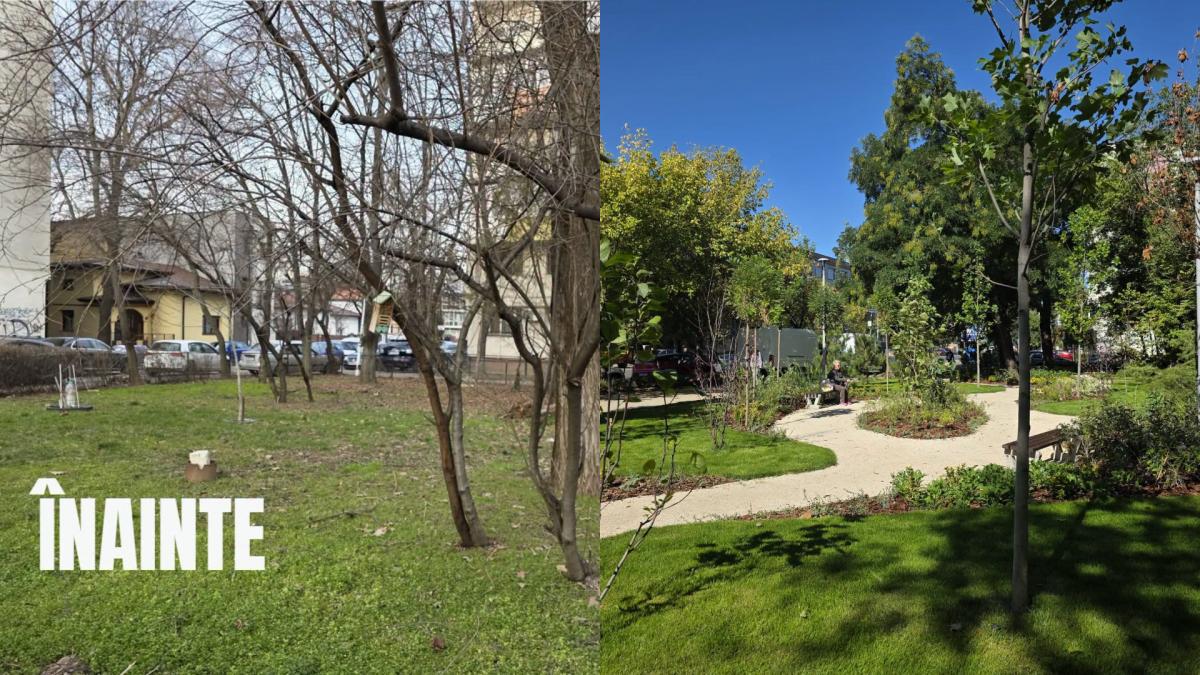 peste 9 000 de plante si 120 de copaci au fost plantati pe calea grivitei primarul tuta transformam curtile blocurilor in gradini