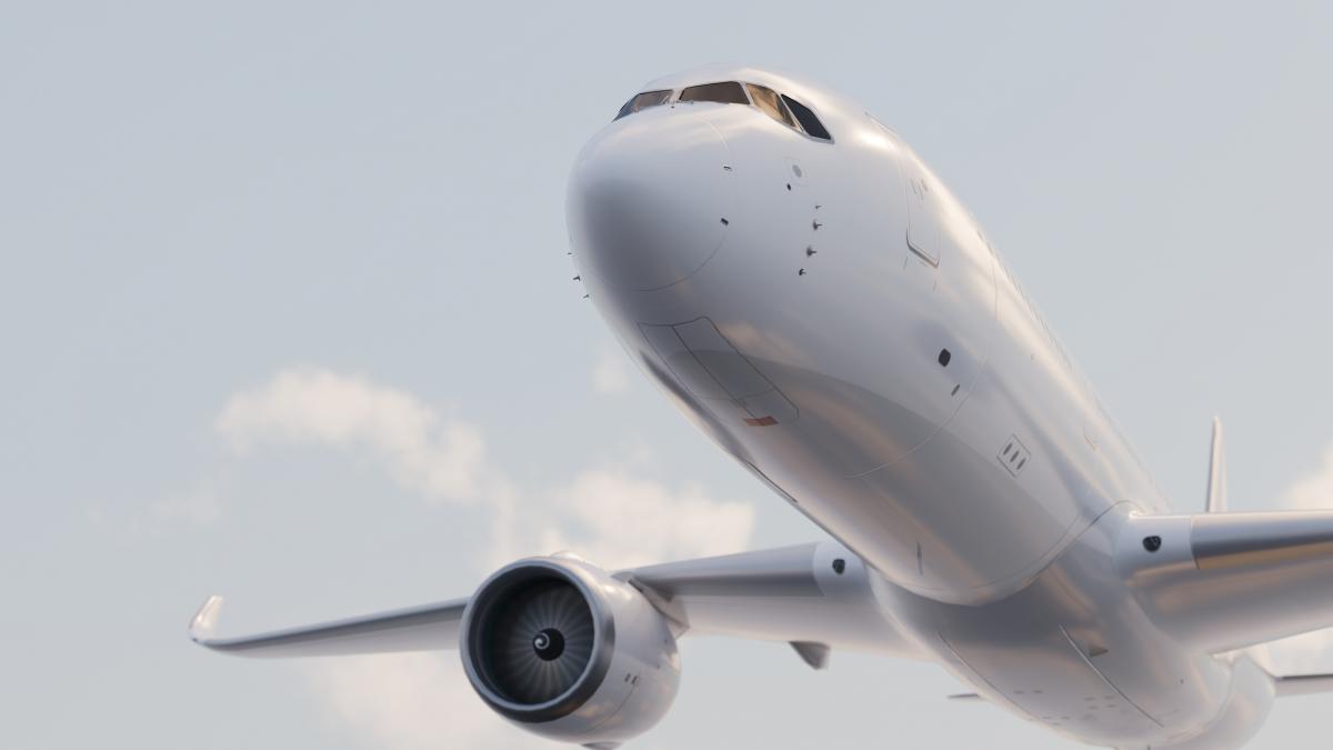 un avion cu sute de pasageri la bord a aterizat de urgenta pe aeroportul otopeni dupa ce a lovit o pasare