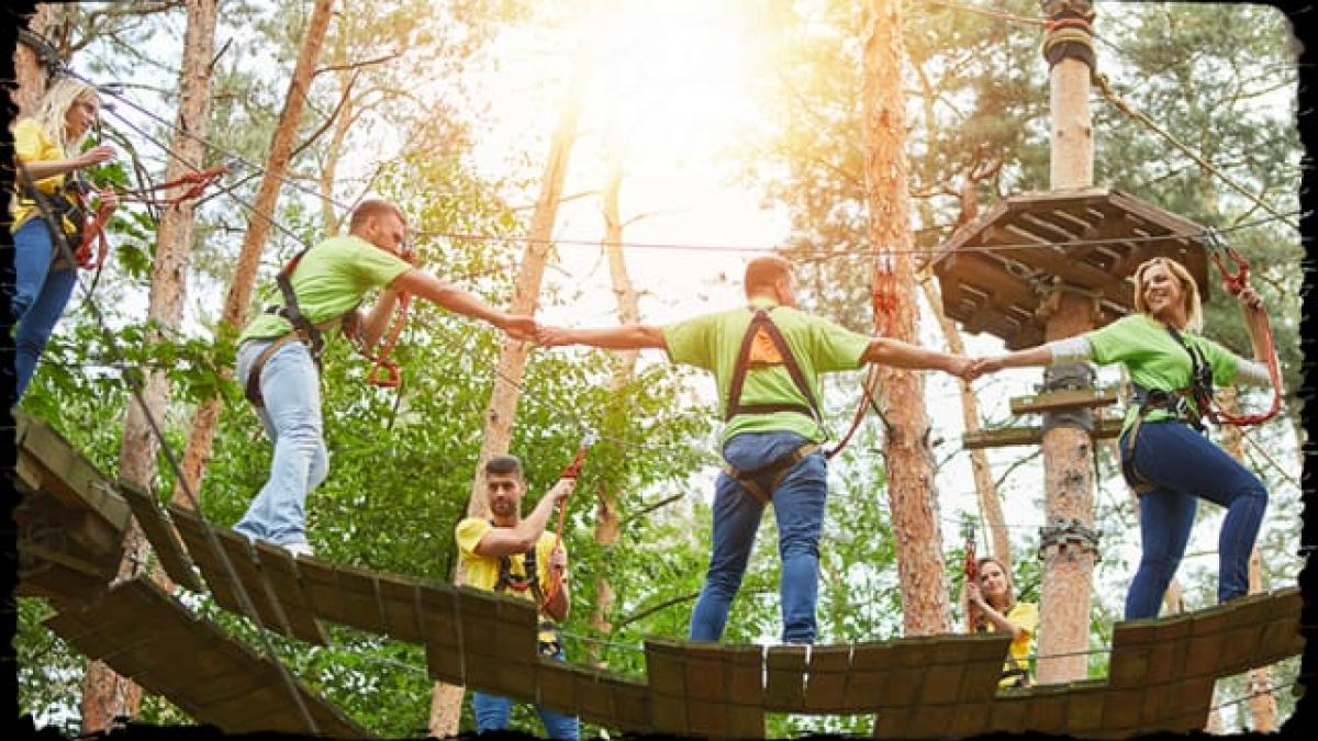 mai mulți oameni ținându-se de mana într-un parc de aventura 