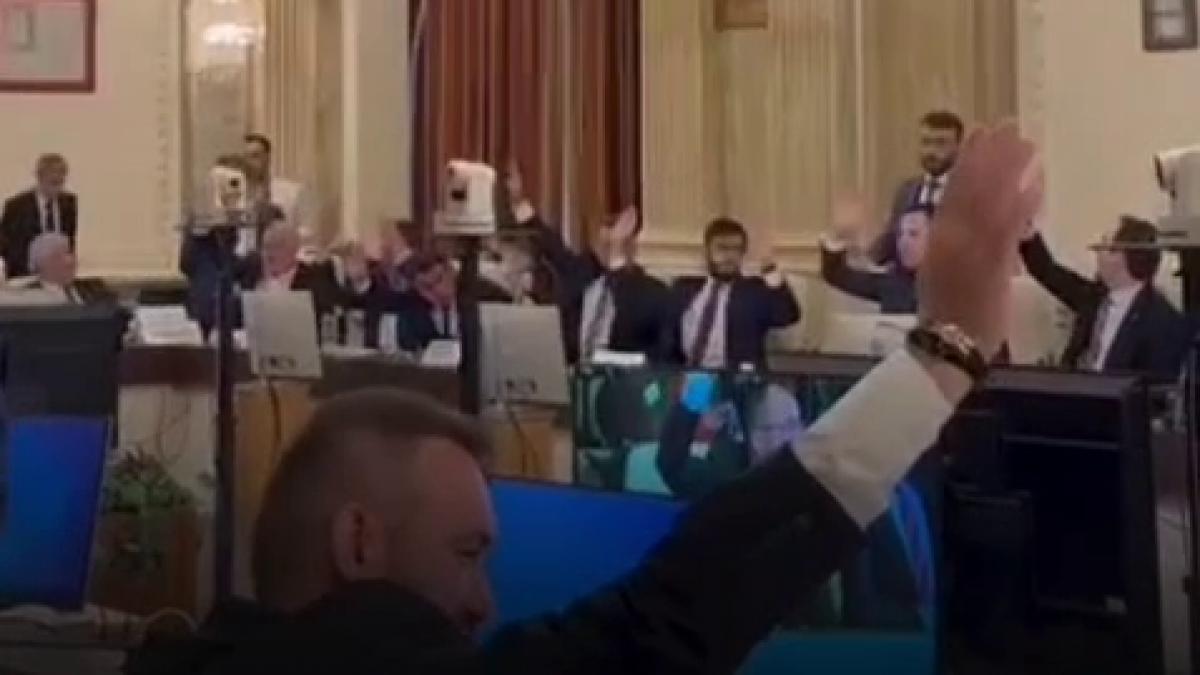 parlamentarii usr au votat o cu doua maini pe oana toiu votul s a reluat ministra a primit aviz pozitiv