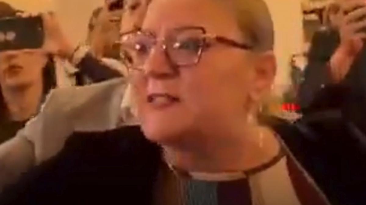 diana sosoaca a facut circ pe holurile parlamentului si a inceput sa strige dupa siegfried muresan