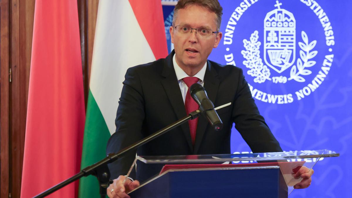 doi fosti ministri din guvernul orban au fost retinuti pentru luare de mita si deturnare de fonduri publice