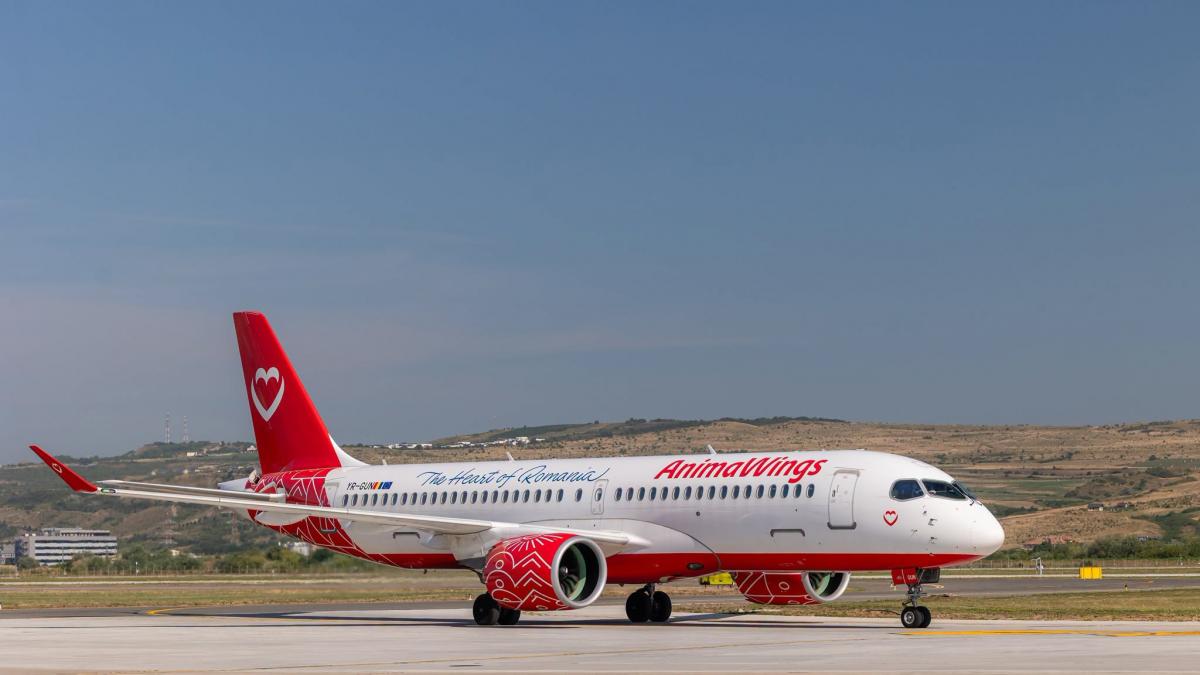 probleme mari la animawings compania a anuntat ca scoate din operare mare parte din avioane si zborurile sunt deja afectate