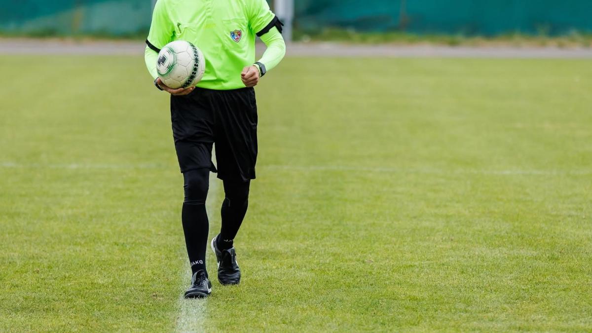poza in care apare arbitrul Gheorghe Moldovan