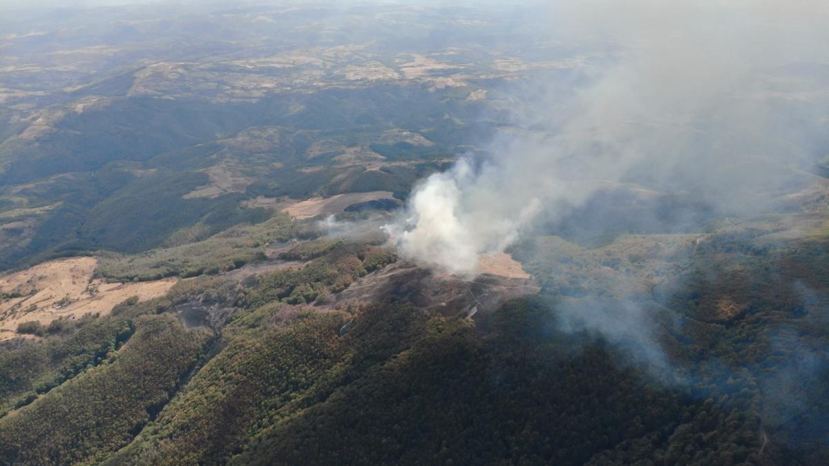incendiu in domogled