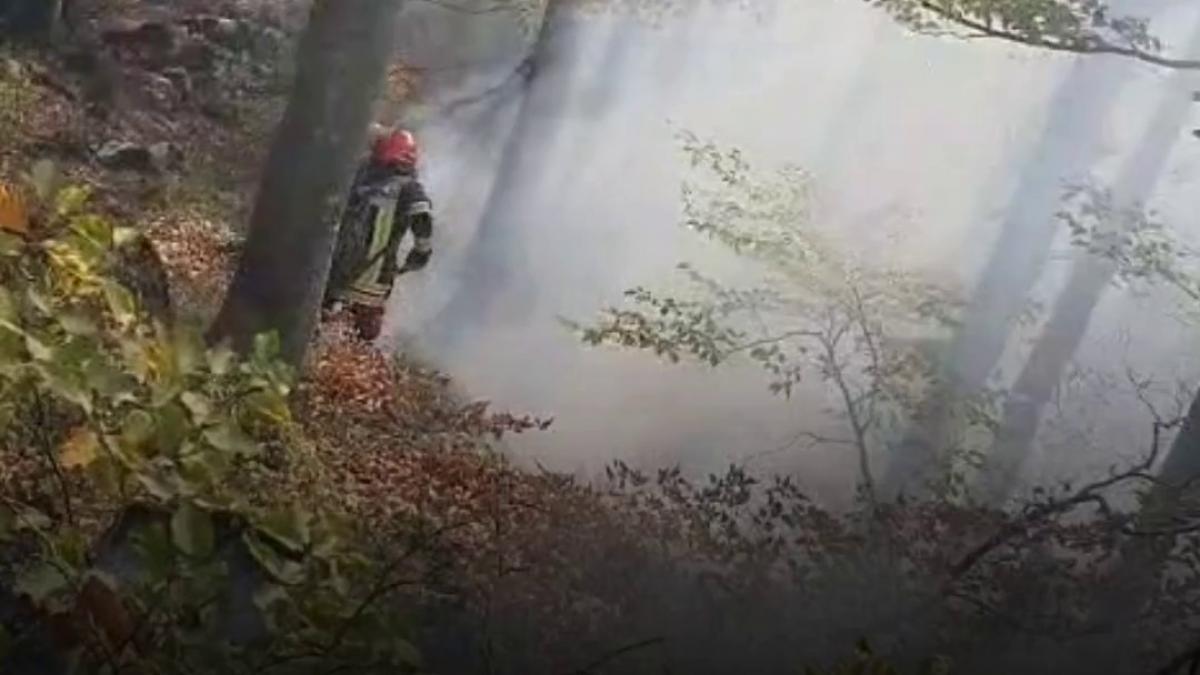 incendiul din domogled langa baile herculane este greu de stins pompierii au aruncat intr o singura zi 200 000 de litri de apa