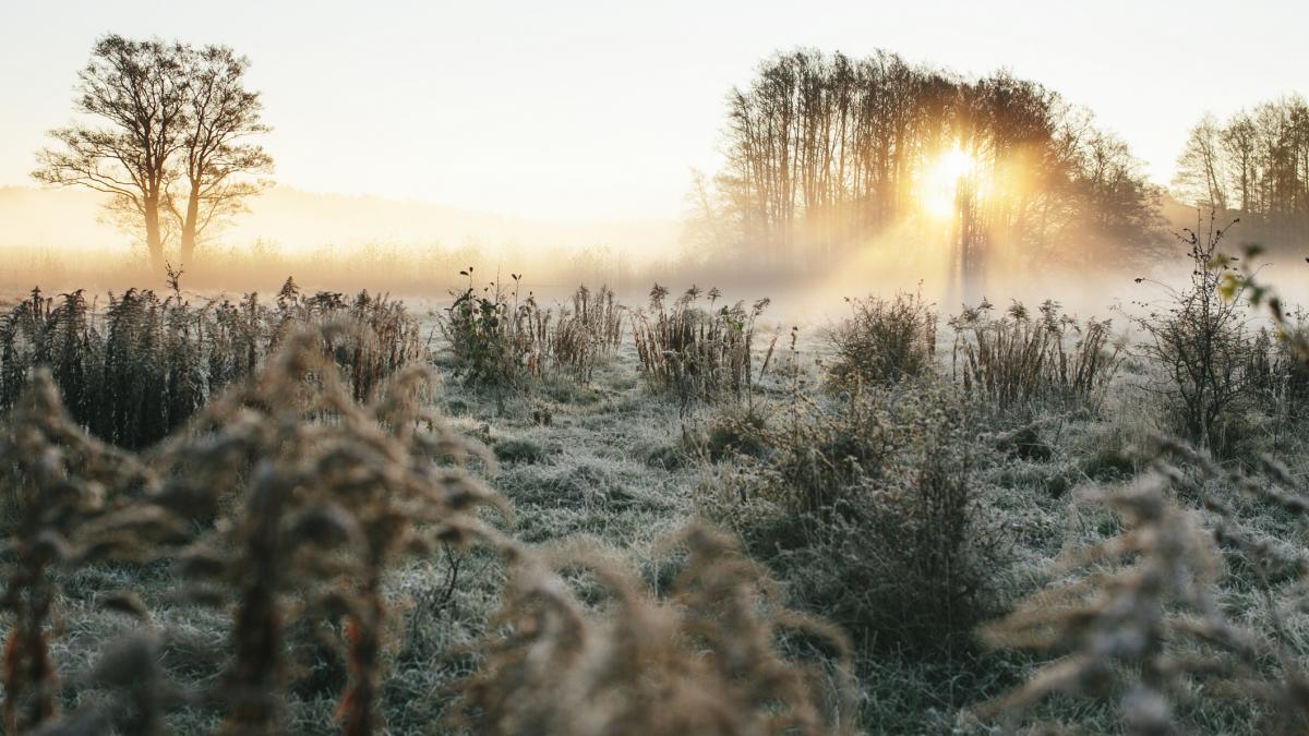 dimineata friguroasa in mai multe zone din tara s au inregistrat minus 5 grade celsius la miercurea ciuc