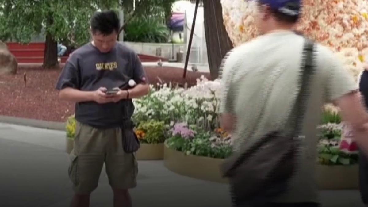 o pisica uriasa din flori noua atractie din shanghai turistii stau la coada pentru fotografii