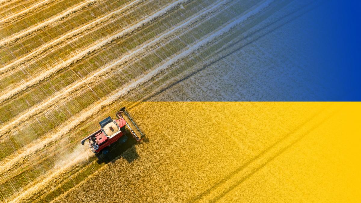 comisia europeana va limita semnificativ accesul ucrainei la subventiile pentru fermieri daca se alatura ue