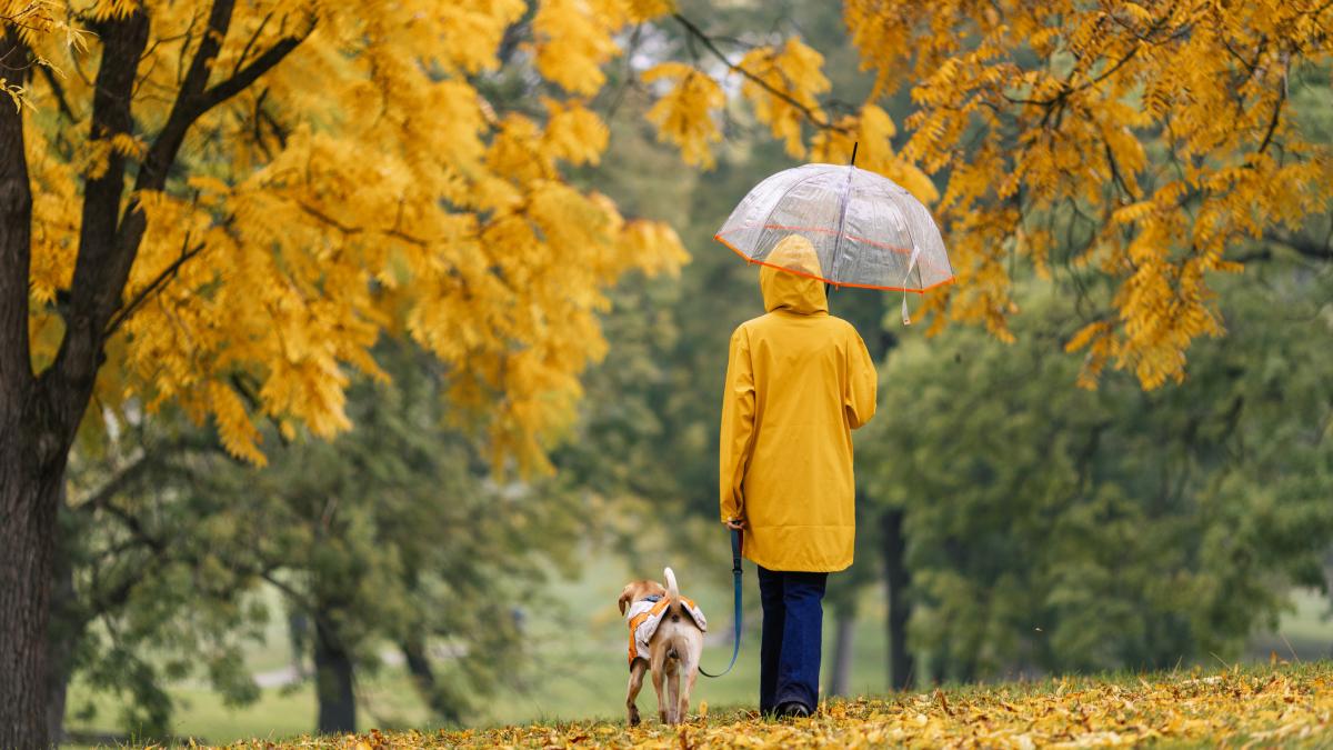 GettyImages-2242736853