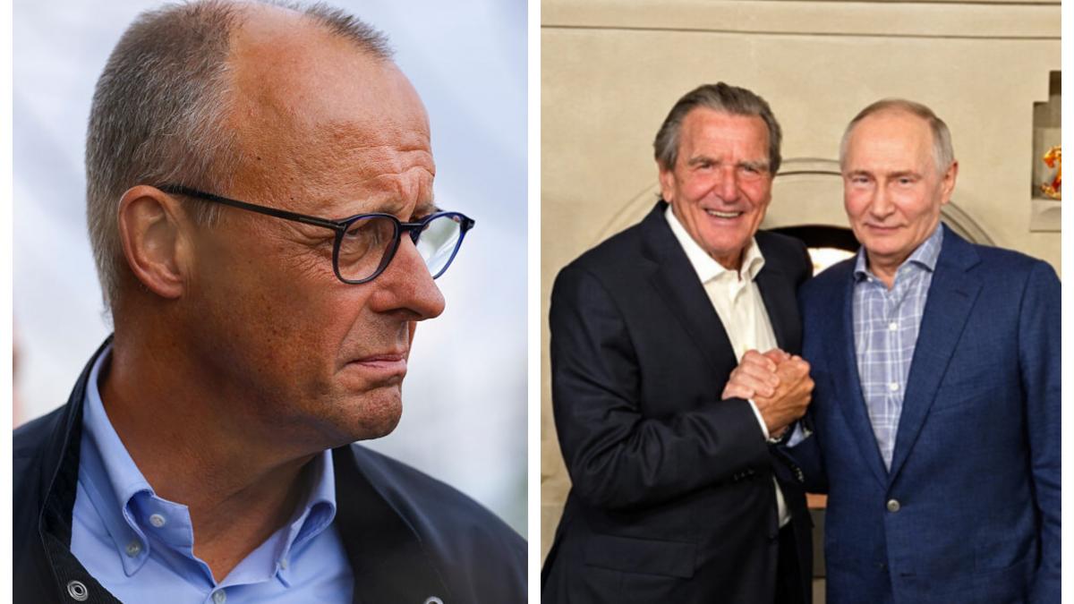 friedrich merz reactie plina de furie dupa ce gerhard schroder s a dus la putin acasa de ziua liderului rus e pur si simplu imoral