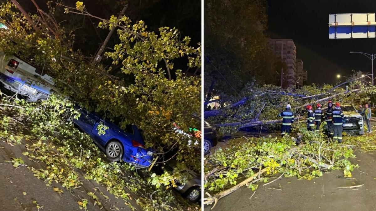 un copac a cazut peste patru masini si un scuter in bucuresti un livrator a fost ranit