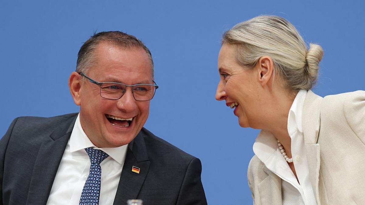 Tino Chrupalla si Alice Weidel