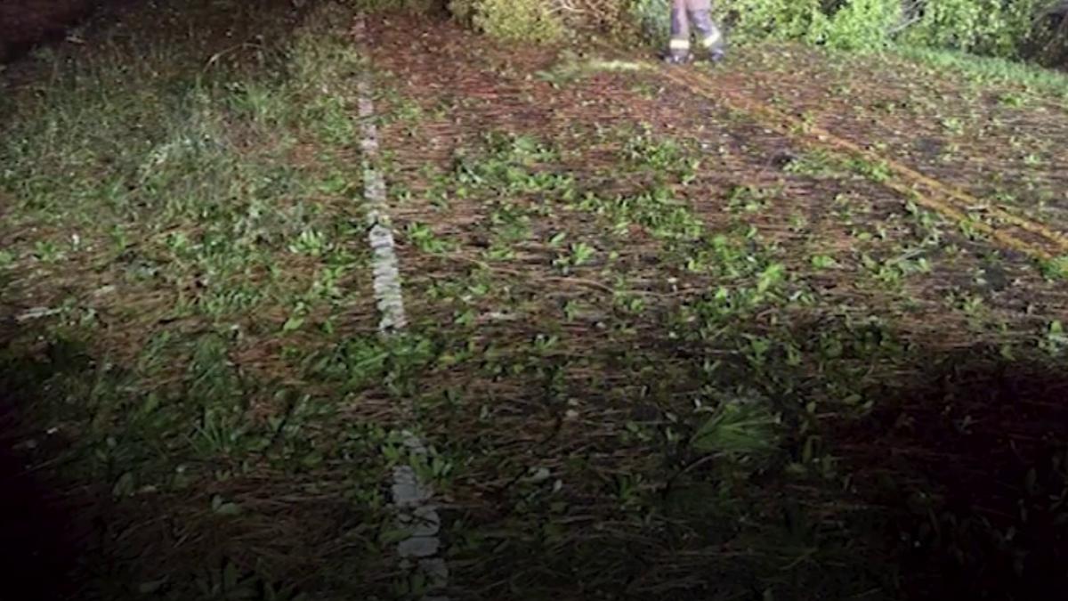 uraganul isaias a facut ravagii in sudul sua copaci doborati si sute de mii de oameni fara curent