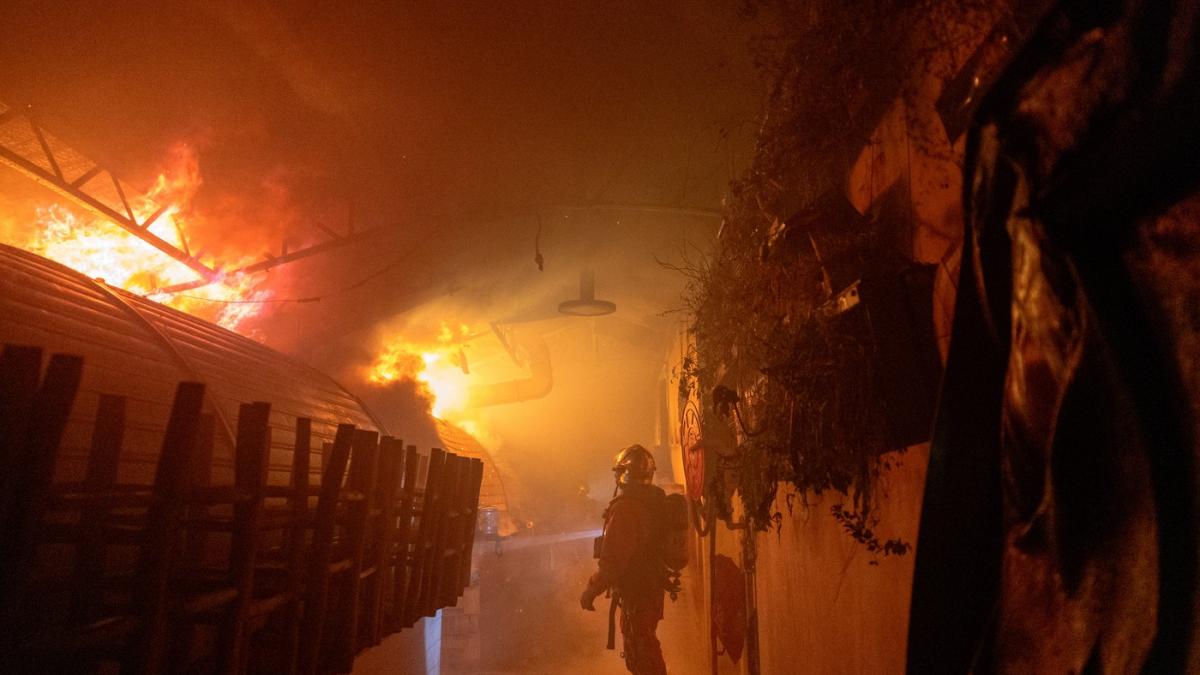 cea mai veche piata din paris infiintata acum 400 de ani a fost distrusa complet intr un incendiu
