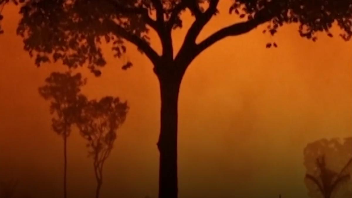 peste 1 500 de focare de incendiu in octombrie in padurea amazoniana fumul ameninta sanatatea locuitorilor