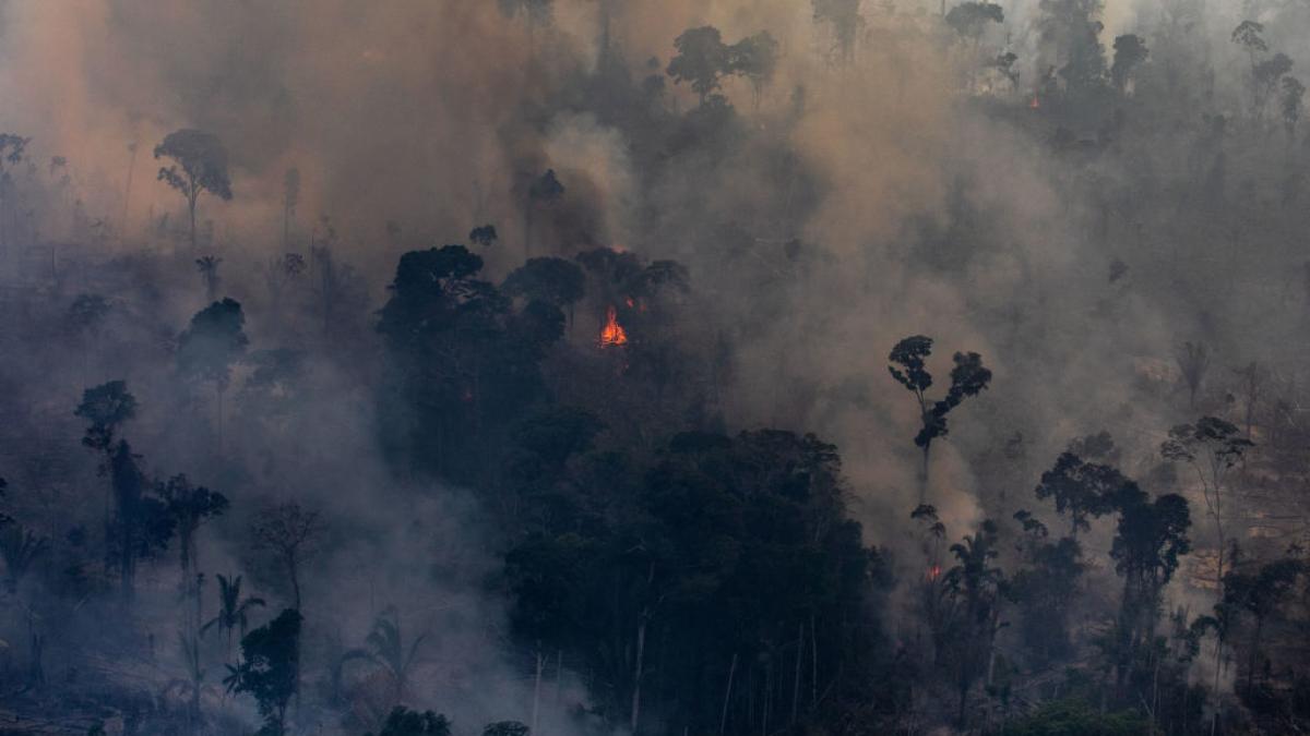 a luat foc padurea amazonului iar super el nino amplifica dezastrul incendiile au fost puse intentionat spun autoritatile