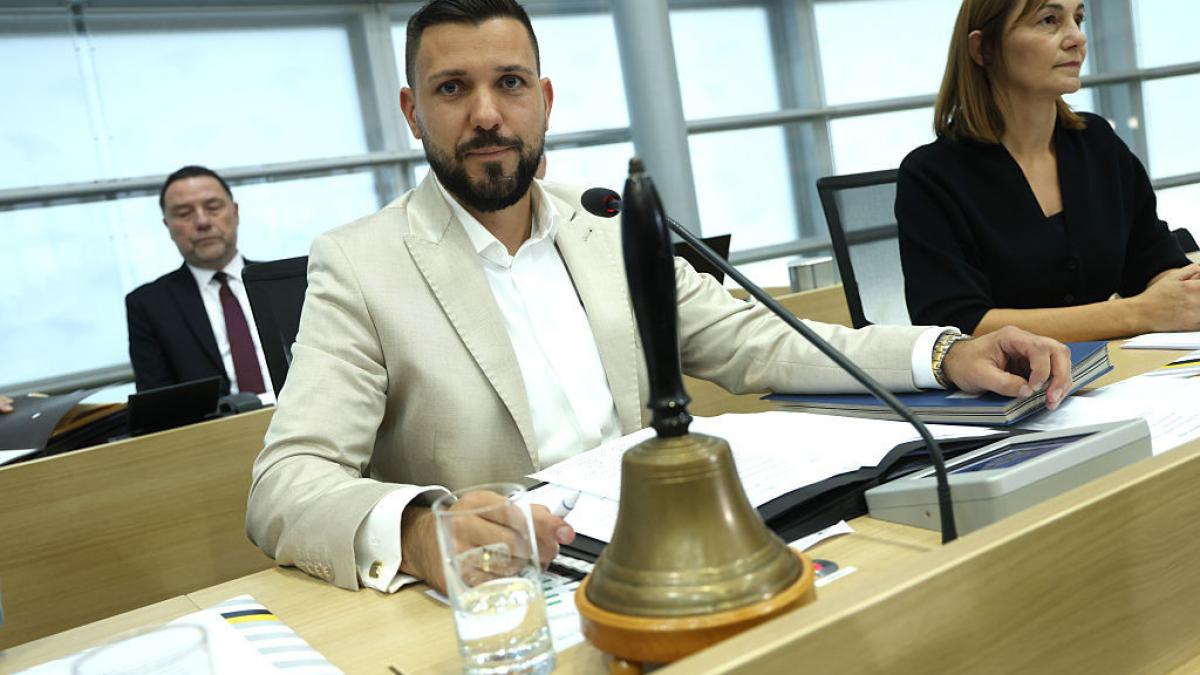 extremistii afd din saxonia anhalt s au aliat cu stanga radicala pentru a bloca ajutorul germaniei catre ucraina sa inceteze imediat