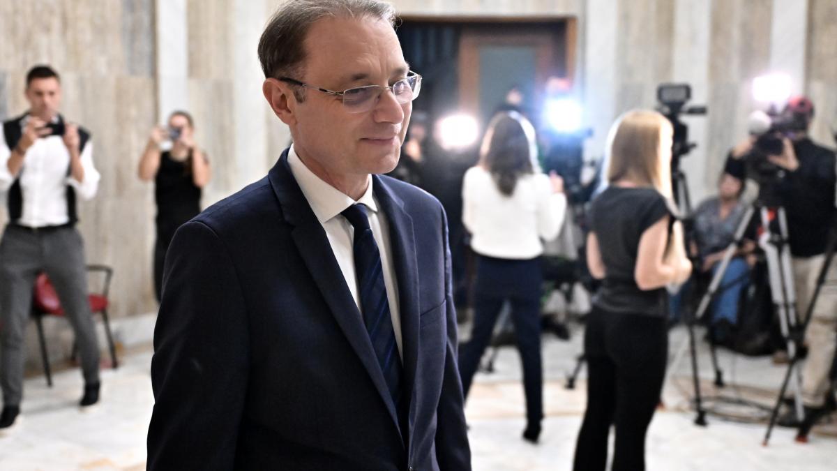 document ce scrie in programul de guvernare depus de niculescu fara taxe noi pensii indexate si eliminarea cass pentru mame