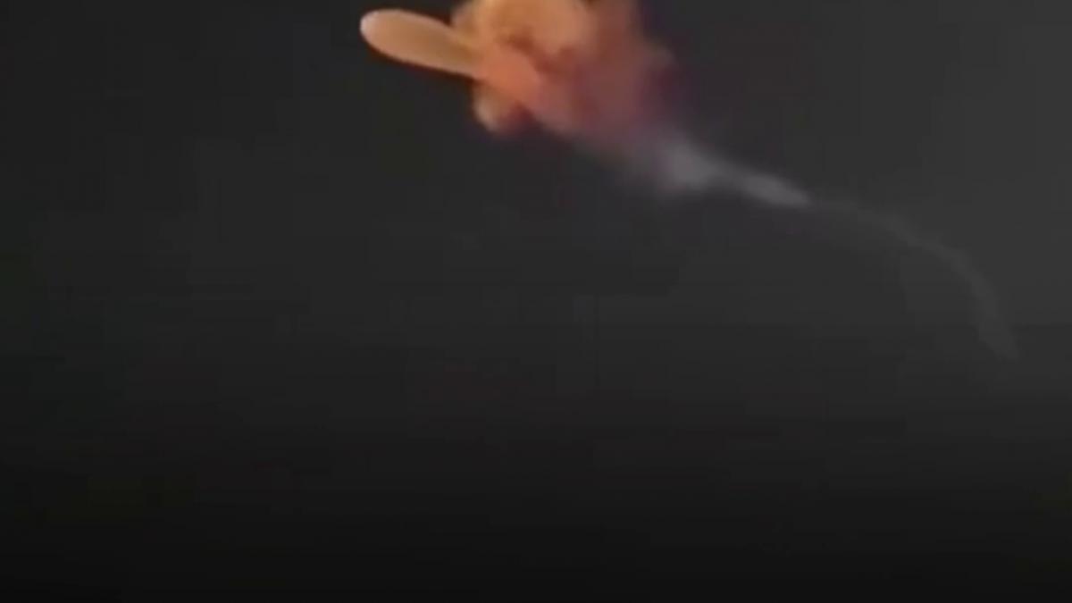 imagini spectaculoase pe cerul noptii cu meduza spatiala nasa explica fenomenul aparut dupa lansarea unei rachete falcon 9