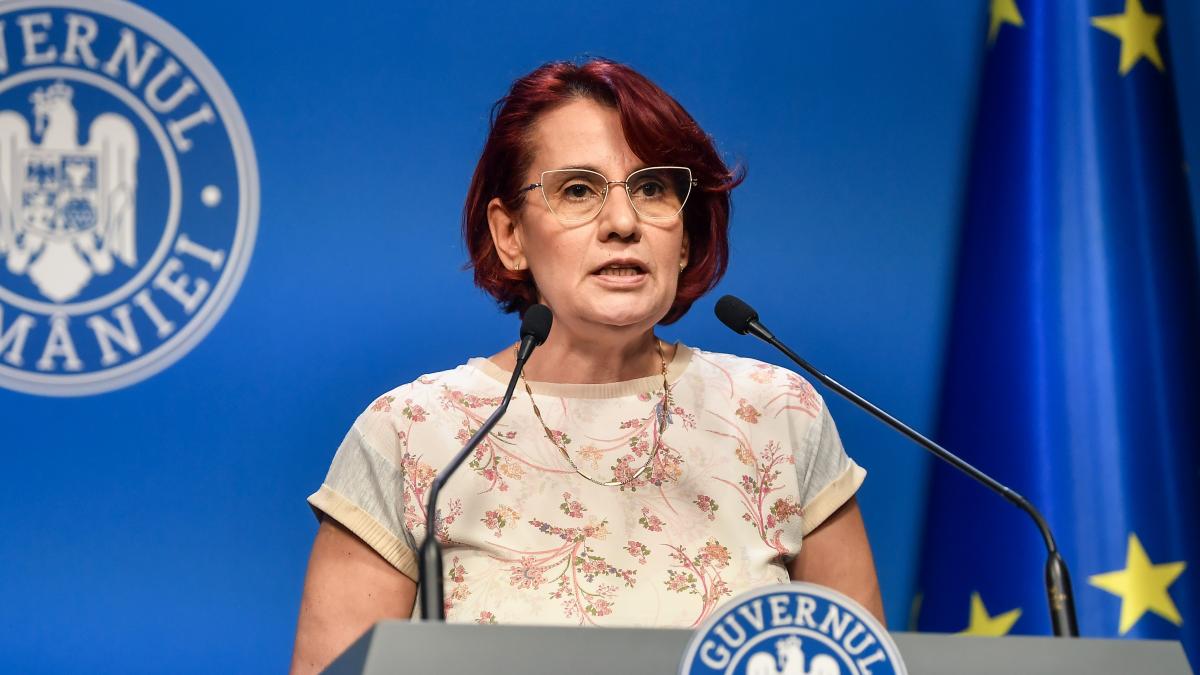 purtatorul de cuvant al guvernului romaniei