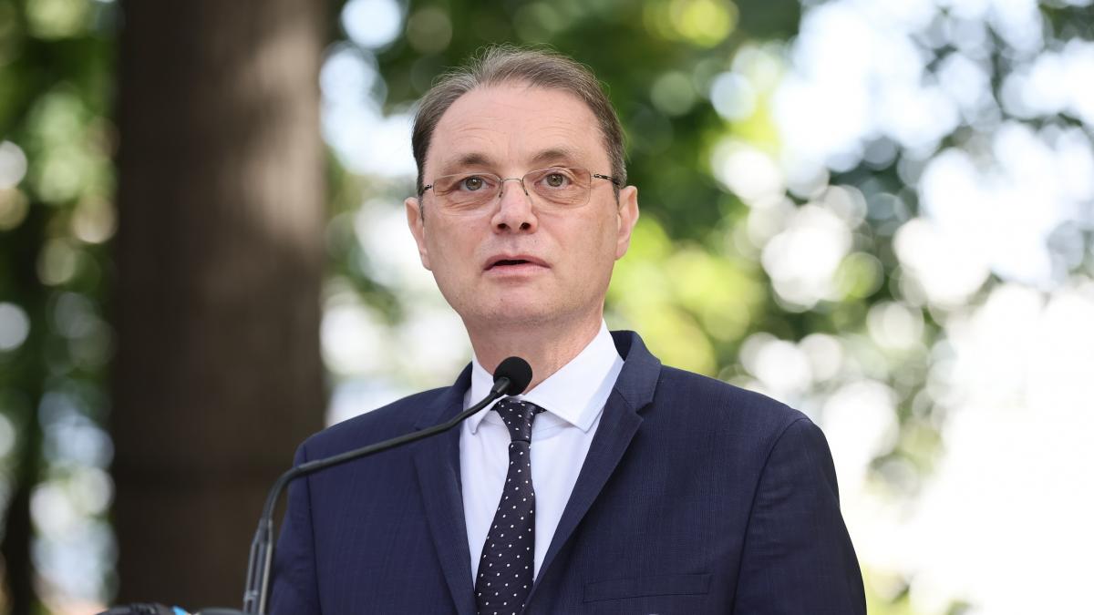 luca niculescu urmeaza sa depuna in parlament programul de guvernare si lista viitorilor ministri