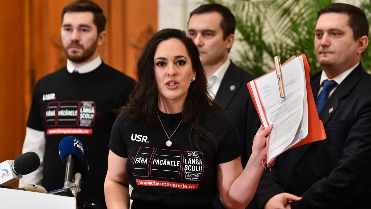 derapaj al deputatei usr diana stoica pe grupul unei comisii parlamentare de ce avem mai multi gay decat femei in guvern