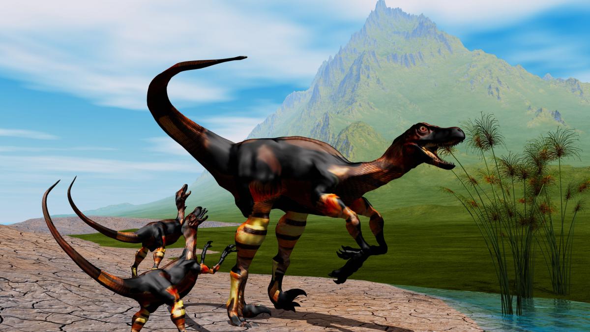 megaraptor