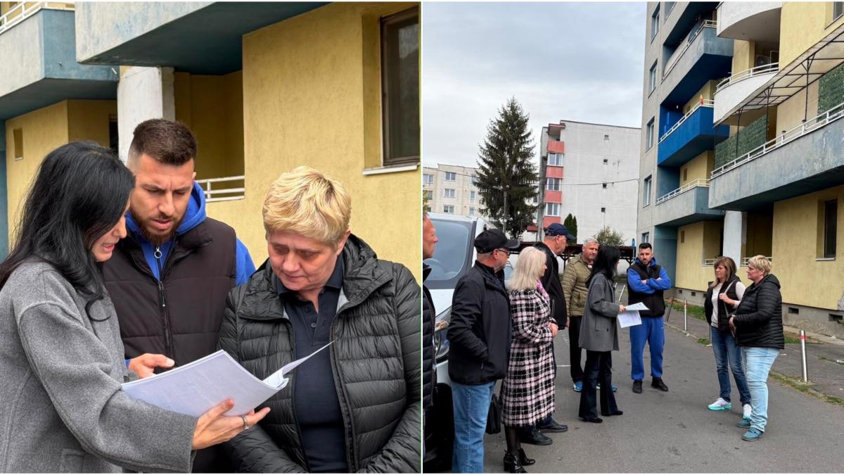 lavinia sandru acuza un blocaj de 14 ani la locuintele anl din targu mures tineti chiriasii ostatici