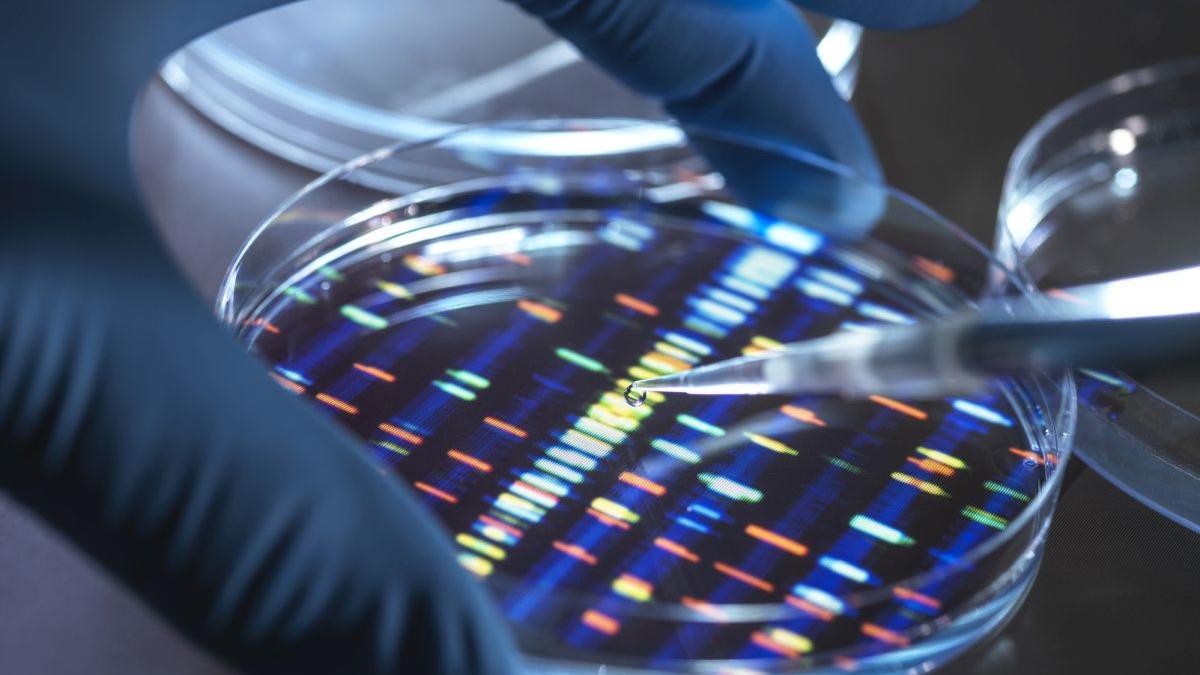 laborator genetic