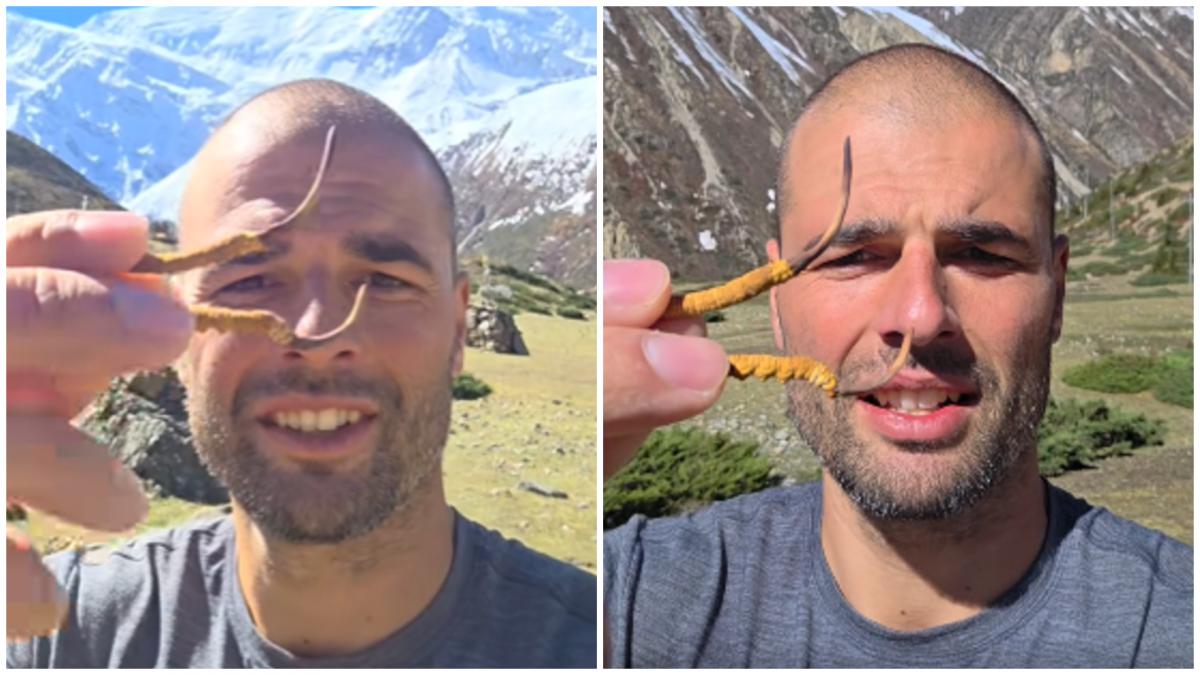capturi Piotr Grześ cu ciuperca viagra de himalaya