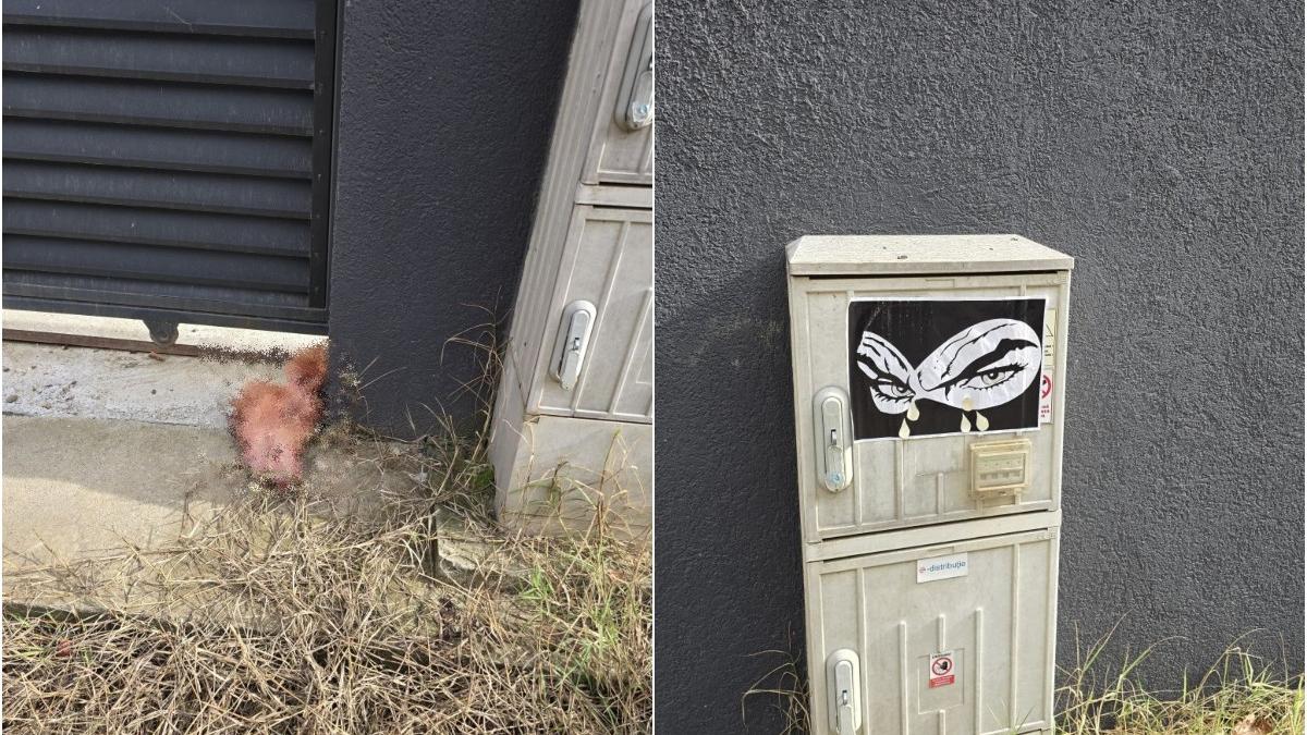amenintare in stil mafiot marius lulea a gasit un cap de porc la poarta acesta il acuza pe george simion il cunosc bine
