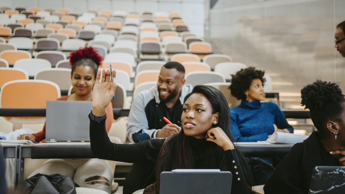 vrem ca elita sa vina la noi romania vrea sa atraga studenti din asia si africa cu burse si programe de mentorat