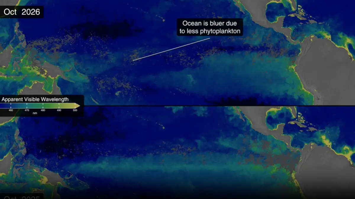 super el nino schimba culoarea oceanelor imaginile nasa arata cum apele verzi au devenit albastre