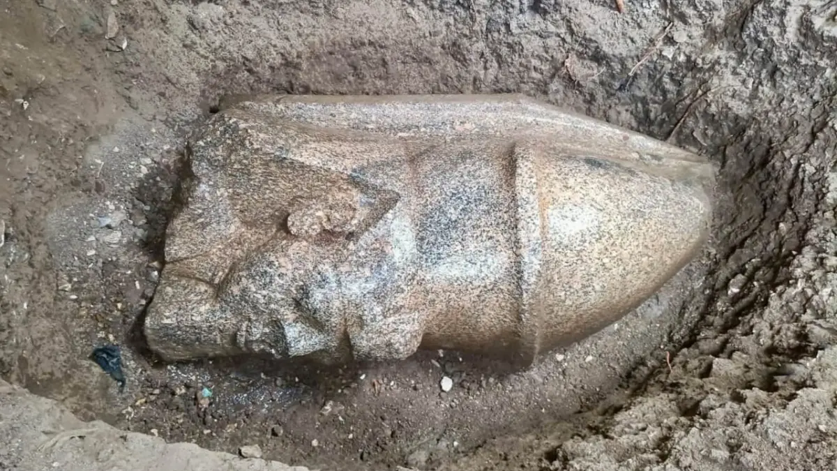 un egiptean a gasit printre castravetii din gradina bucati dintr o uriasa statuie a lui ramses al ii lea ce s a intamplat apoi