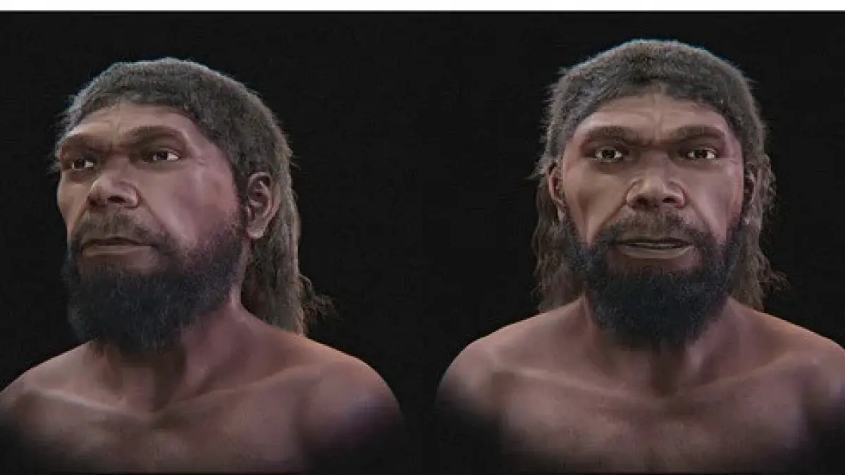 homo heritage
