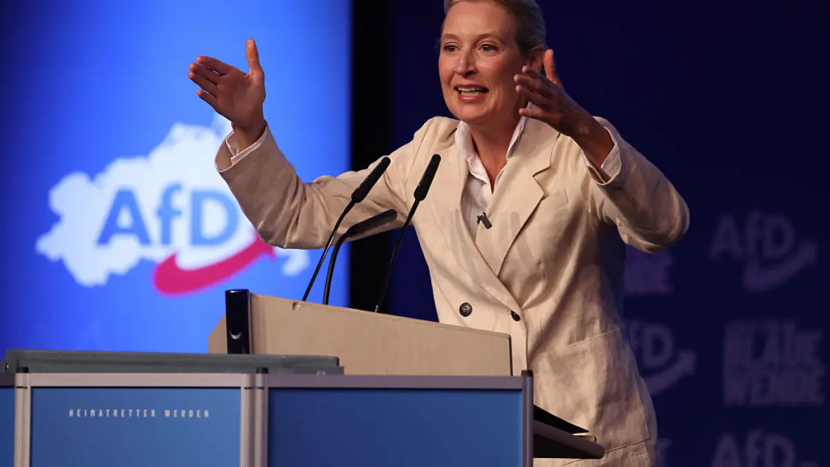 planul afd pentru reformarea ue alice weidel a anuntat ca germania ar trebui sa iasa din spatiul schengen