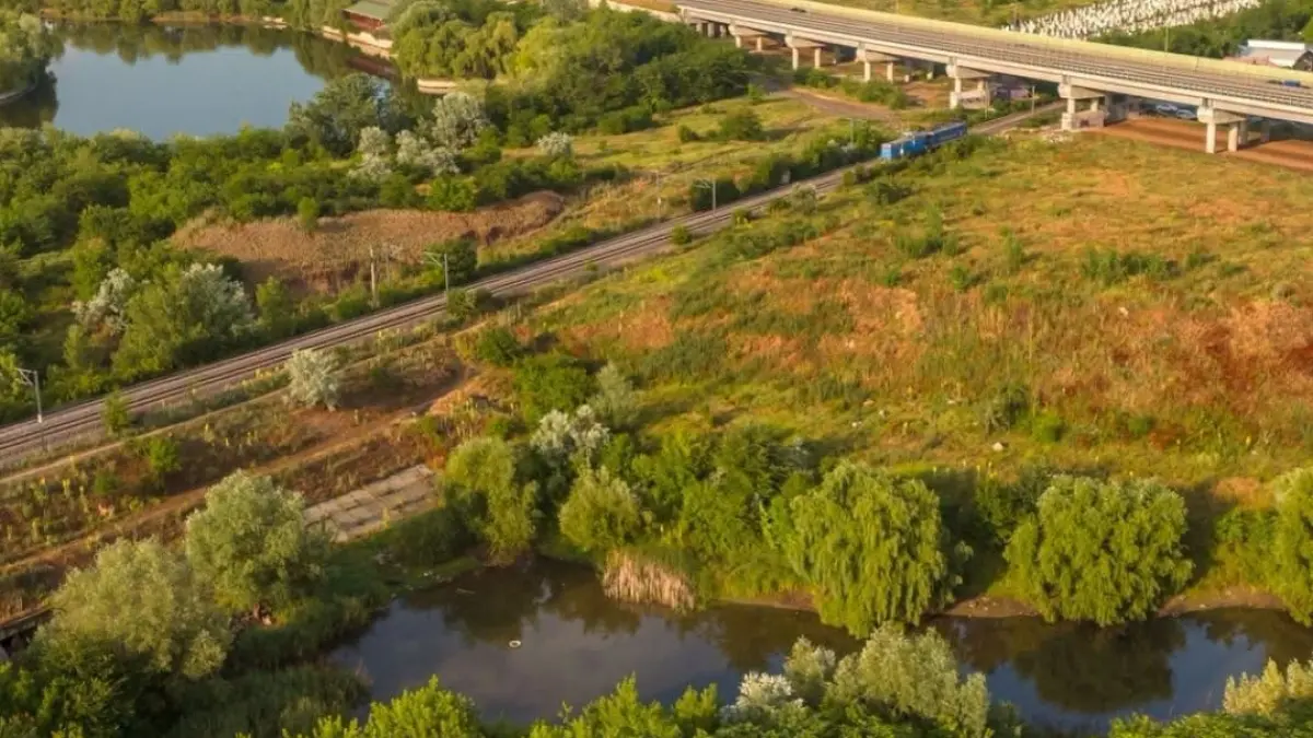 valea saulei din bucuresti o oaza de biodiversitate cu peste 80 de specii de pasari ar putea deveni arie naturala protejata