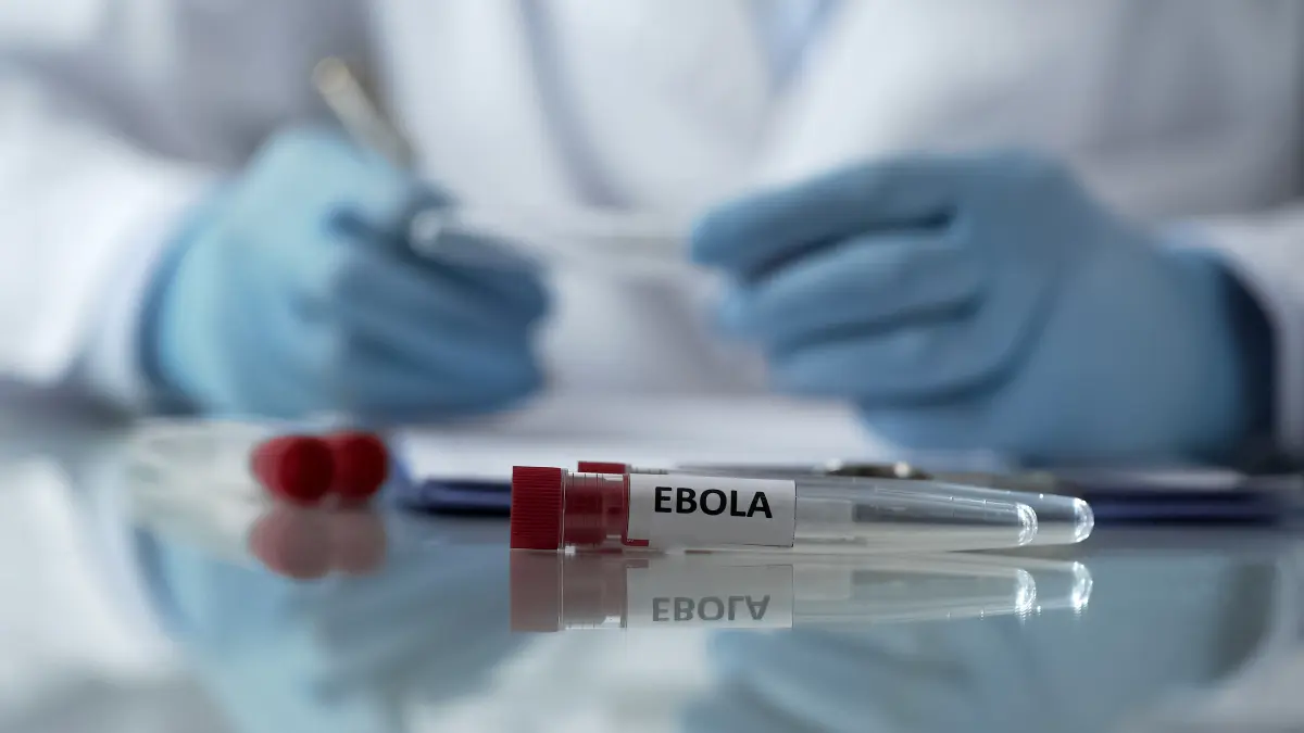 sua introduc o noua obligatie pentru pasageri inclusiv pentru cei care pleaca din romania dupa epidemia de ebola din africa