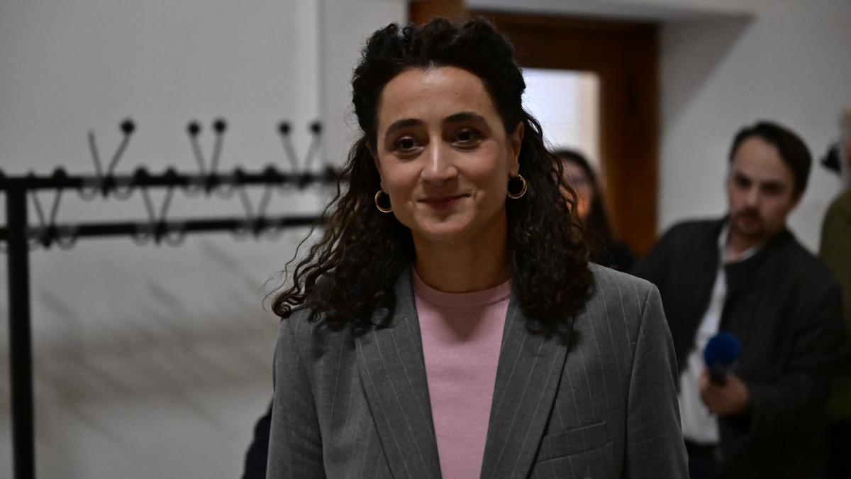 ioana ciocan de la cultura vrea sa semneze ordine de ministra a cerut si opinia institutului de lingvistica