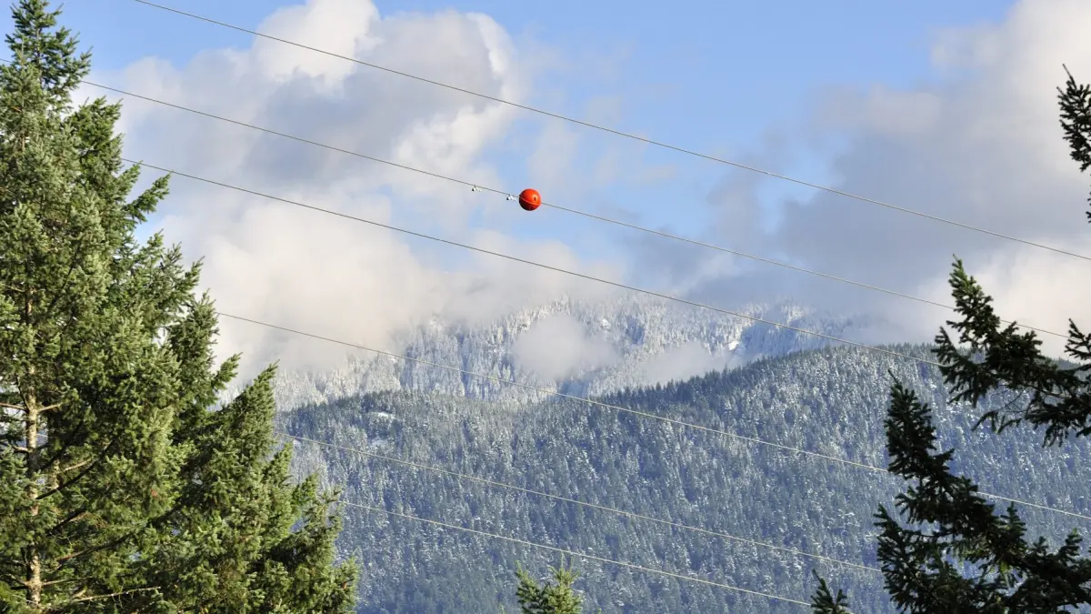 sfera rosie pe firele electrice cu muntele in spate
