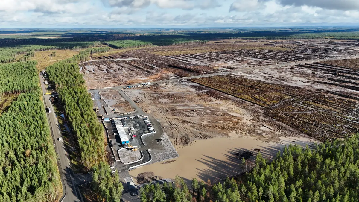 finlanda a deschis o ancheta dupa ce google a taiat 400 000 de copaci ca sa construiasca un centru de date